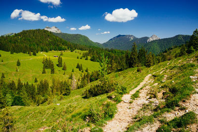 Scenic view of trees and mountains against sky