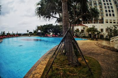 View of swimming pool