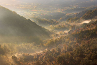 High angle view of trees against sky