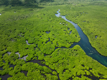 Aerial view of agricultural field