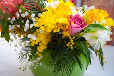 Close-up of yellow roses