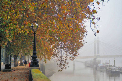 Fog descends on the thames in london