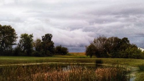 Scenic view of field against cloudy sky