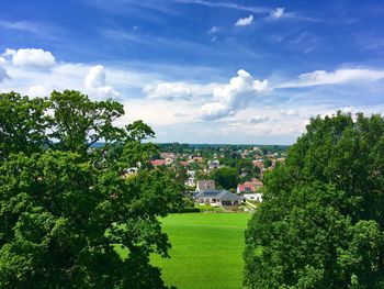 Trees and townscape against sky