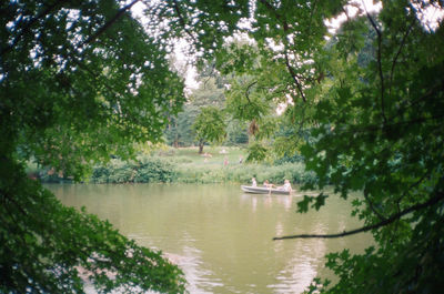 Scenic view of river in park