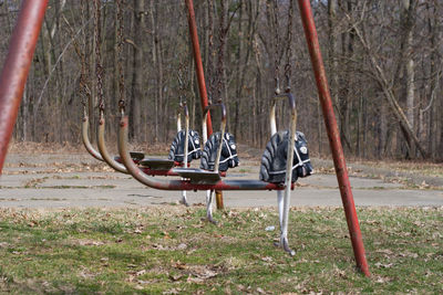 Swing hanging on tree trunk