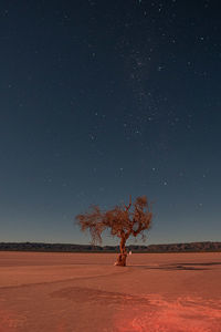 Scenic view of field against sky at night