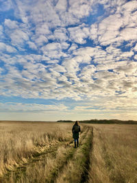 Rear view of man walking on field