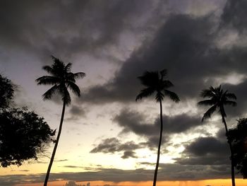 Low angle view of palm trees against sky