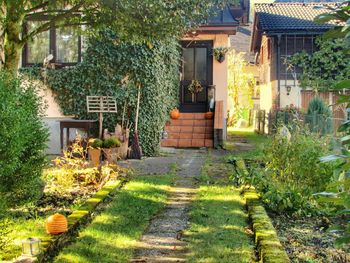 Steps amidst houses in yard