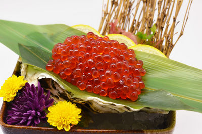 Close-up of strawberry on plant against white background