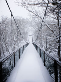 Snow covered footbridge amidst trees