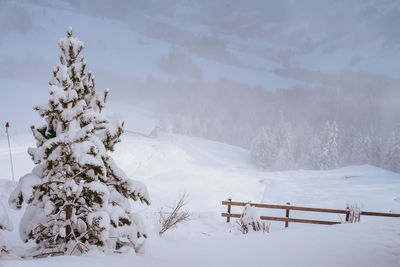 Scenic view of snow covered landscape