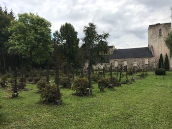 Trees on field against cloudy sky