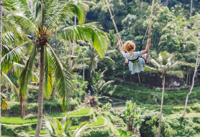 Rear view of girl swinging between palm trees