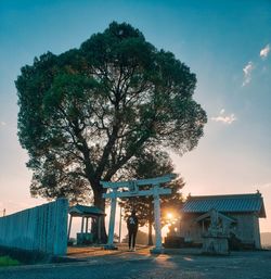 People standing by tree against building