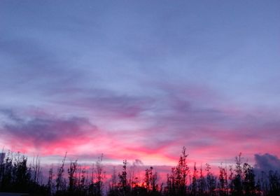 Low angle view of silhouette trees against sky at sunset