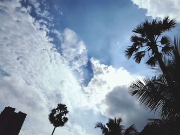 Low angle view of silhouette palm trees against sky