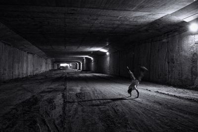 Woman in tunnel