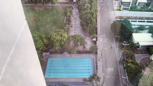 Swimming pool by trees