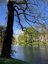 Scenic view of lake by trees against sky