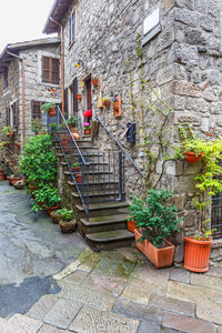 Potted plants on staircase of building