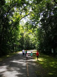 Rear view of people walking on plants