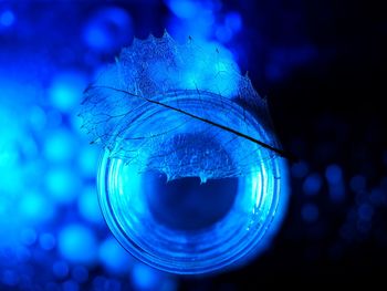 Close-up of jellyfish swimming in water