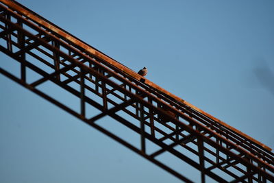 Low angle view of crane against clear blue sky