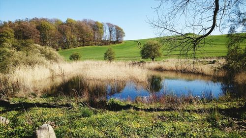 Scenic view of lake in forest against clear sky