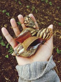 Close-up of person holding hand