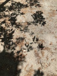 High angle view of shadow on sand