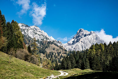 Panoramic view of trees and mountains against blue sky