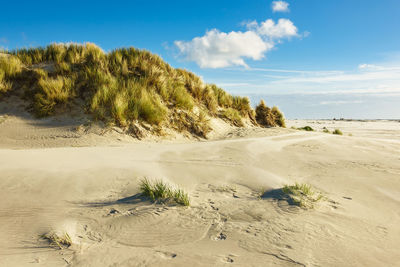 Scenic view of desert against sky