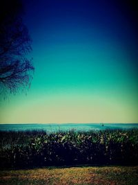 Scenic view of landscape against clear blue sky