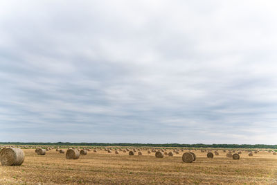 Hay bales on field against sky