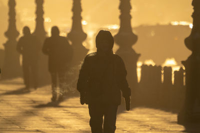 Rear view of silhouette people walking on illuminated street at night