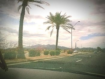 Empty road with trees in background