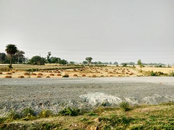 Scenic view of agricultural landscape against sky