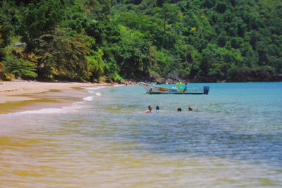 People on beach against trees