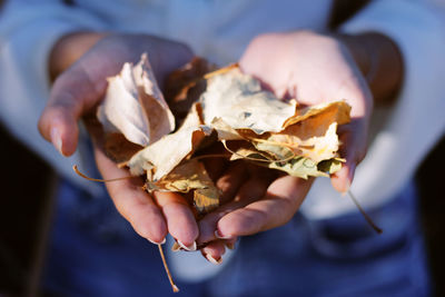 Close-up of hand holding leaf