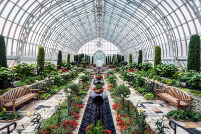 Plants growing in greenhouse