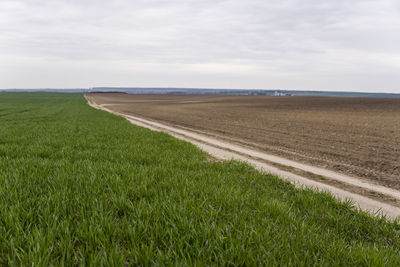 Scenic view of agricultural field against sky