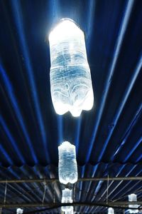 Low angle view of illuminated light bulbs hanging from ceiling