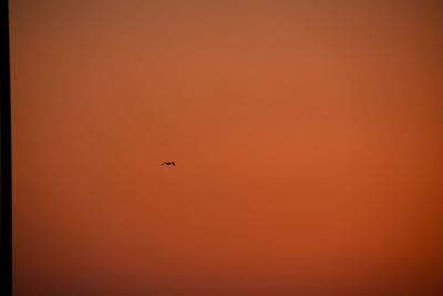 Low angle view of silhouette bird flying against clear sky