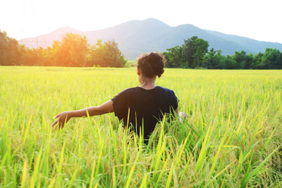 Rear view of woman in rice field