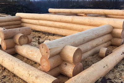 Stack of logs in forest