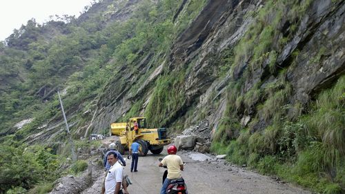 People walking on road along trees