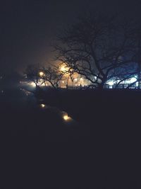 Bare trees against sky at night