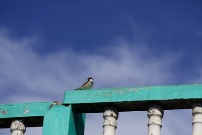 Low angle view of bird perching on railing against sky